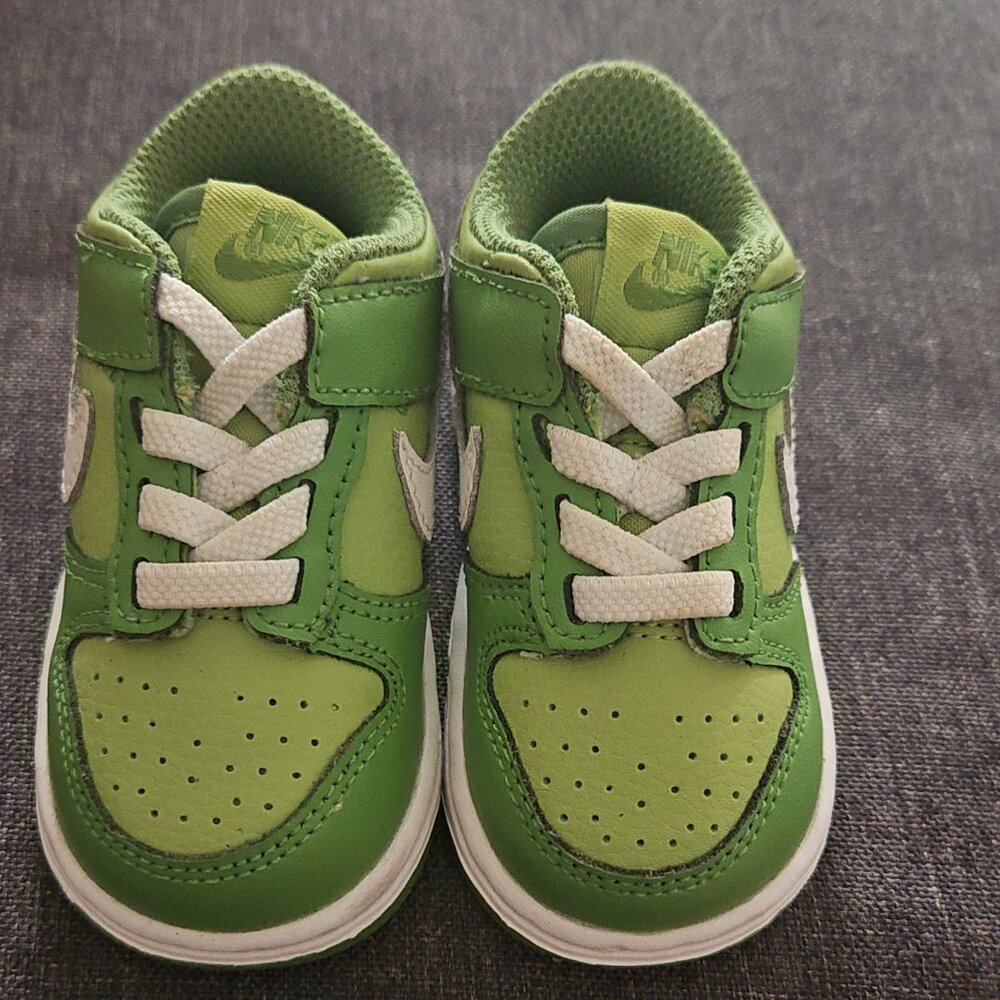 Nike Dunks 4C